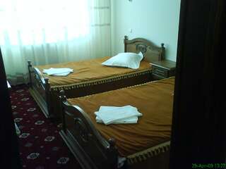 Отель Hotel Casa Pelerinul Дурэу Двухместный номер с 1 кроватью-4